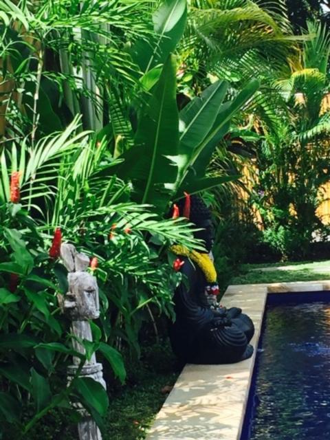 Hotel Kayu Bali Canggu Exterior foto