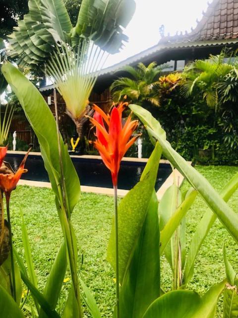 Hotel Kayu Bali Canggu Exterior foto